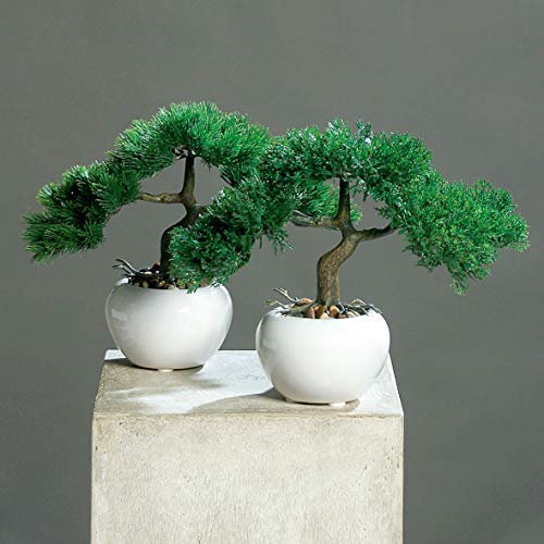 mucplants Künstliches 2er Bonsai-Set Zeder und Kiefer ca. 25cm im weißen Keramiktopf Kunstpflanzen künstlicher Baum