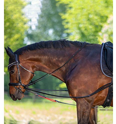 Waldhausen W-TRAINREIN Leder-Dreieckszügel: Reitzubehör, Longierzubehör, Flexible Ausbinder für Pferdeausbildung, Reithilfe und Pferdegymnastik, WB, schwarz