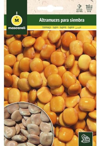 Mascarell Semillas, ALTRAMUZ, Semillas Huerto, ALTRAMUZ PARA SIEMBRA, Crea tu Propio Huerto Urbano y Cultivo en Casa, Plantas Hortícolas, 30 Gramos