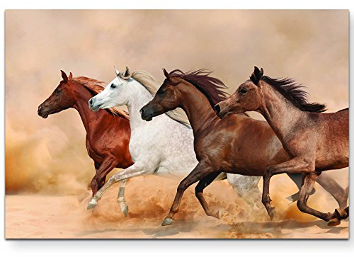 Leinwandbilder | Bilder Leinwand 120x80cm Laufende Pferde in der Steppe