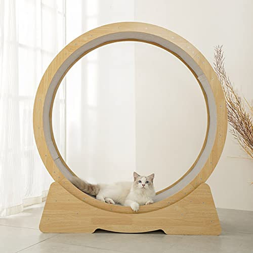 Katzenlaufrad Laufband für Katzen aus natürlichem Holz, geräuscharmes Katzenlaufband Ferris, Sich drehende Katzenmöbel, mit Teppichboden (Größe: M)