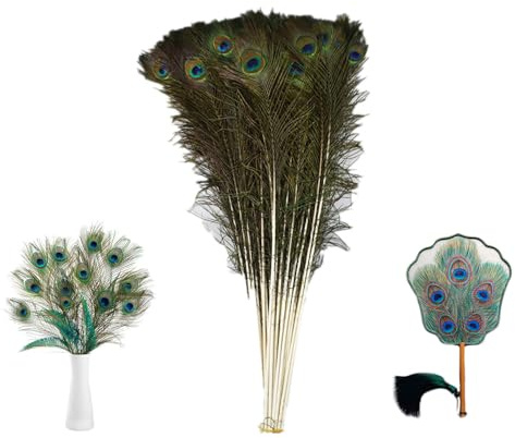 SMTCM 5 Stück Natürliche Pfauenfedern lang 80-90CM Echte Pfauenschwanzfedern Bunte Bastelnfedern Natur Pfau Kostüm schöne Augen Federn Dekorationen für Vase DIY Requisiten Hochzeit Party (Weiß)