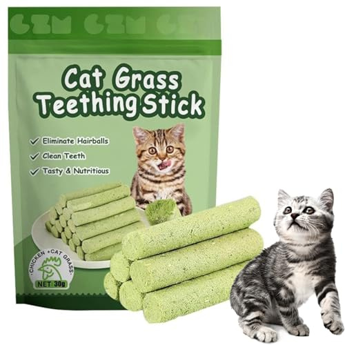 Cat Dental Chews,Catnip Toys Natural Oral Cleaning for Increase Appetite,Teething Toy,6pc