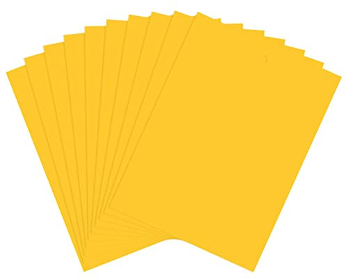 Pack of 40 Sticky Insect Traps, Fly Traps, Sticky Fly Traps, Glue Boards, Dual Yellow Sticky Traps, Dual-Sided Pest Traps Flycatcher Paper, Plant Fly Catchers, for Gnats Whiteflies Aphids Leafminers