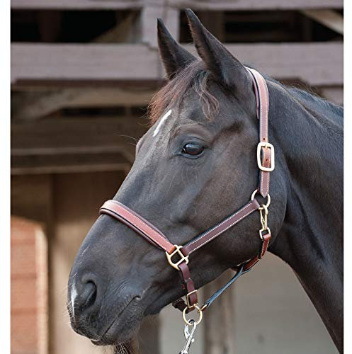 CATAGO Lederhalfter - braun - Kaltblut