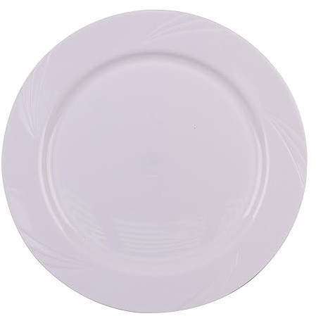 Générique - 10 Assiettes RÉUTILISABLES ET INCASSABLES 26CM Blanc