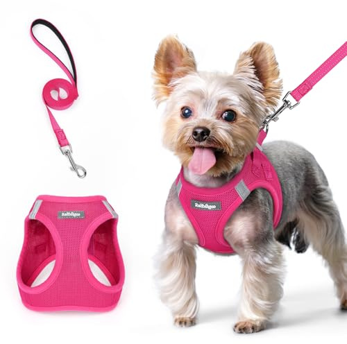 rabbitgoo Dog Harness Small Sized and Leash Set, Step in Soft Light Puppy Vest, Breathable Mesh Pet Harness, Reflective for Safe Easy Walking, Rose Red XS