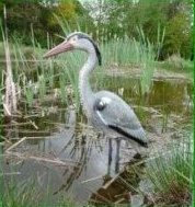 Héron de Leurre Effaroucheur D'oiseau (784) Protège Votre Bassin de Heron, Oiseaux, Chats