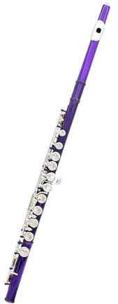 Flauto traverso flauto per principianti Il corpo in tubo di rame bianco con chiave C per flauto viola a 16 fori è adatto ai principianti per eseguire il test