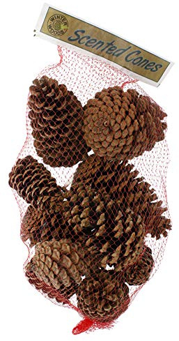 Winter Woods Cinnamon Scented Pinecones 12-14/Pkg, Large