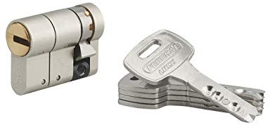 THIRARD - Demi Cylindre de Serrure Federal S - Nickelé - Haute Sécurité - Anti-Arrachement, Anti-Perçage, Anti-Crochetage, Anti-Snap, Anti-Bumping - 30x10mm - Gris - 5 Clés Réversibles