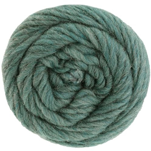 LANA GROSSA Landlust die Filzwolle | Filzgarn aus 100% Schurwolle | Handstrickgarn aus 100% Schurwolle | 100g Wolle zum Stricken & Häkeln | 100m Garn FB5011