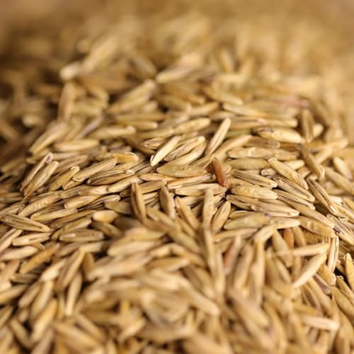 federgold Prato di quaglia e pollo – Miscela di semi per quaglie, polli & Co. – Avvitatore rapido 500 g