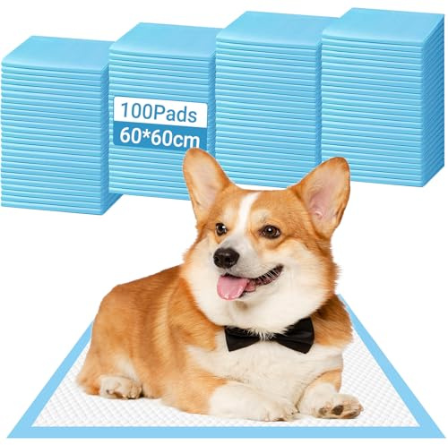 100 Stück Hunde Trainingspads 60x60cm, Welpenunterlagen Einweg mit Auslaufsicherem 6-lagigem Design, Geruchsbindend und Schnell Trocknend, Inkontinenzunterlagen für Welpen und Hunde (L: 60*60)