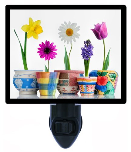 Night Light, Colorful Pots, Flower and Garden, Botanical