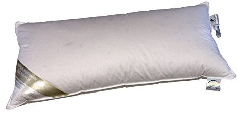 Betten Hofmann Kopfkissen 40x80 cm 450 g Daunen, Daunenkissen Kissen prall, dick gefüllt, 100% Daunen, Naturprodukt, waschbar, kein Lebendrupf, eigene Anfertigung