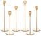 Set of 6 Gold Candlestick Holders for Taper Candles,Gold Candle Holder Fits 3/4 inch Thick Taper Candles,Tall Candlestick Holders for Wedding, Party Tabletop Decor, Home Decor, Candlelight Dinner