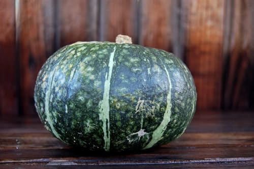 2 Whole Local Kabocha Squash by Greenhouse PCA