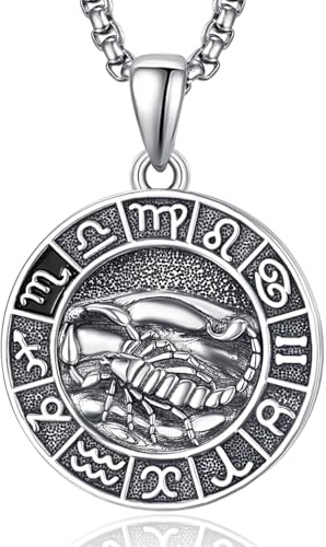 ADMETUS 12 Sternzeichen Halskette Silber 925 Tierkreiszeichen Anhänger Schmuck Runde Sternzeichen Konstellation Kette Geschenke für Männer mit 2.5mm 22+2 Rolo Ketten