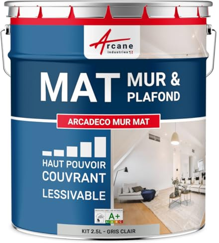 Peinture Murale Satinée Lessivable Mur et Plafond 2.5 L Gris Clair | Peinture Murale Mate, Finition Veloutée, Fort Pouvoir Couvrant, Lessivable, Murs et Plafonds - Arcane Industries