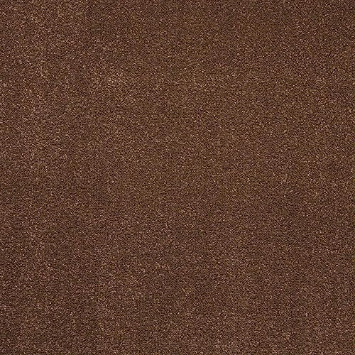 Stain Resistant Twist Pile Carpet Vibrant Colours 12mm Thick Durable Felt Backed Capet Roll (Dark Brown - 4m x 5m)