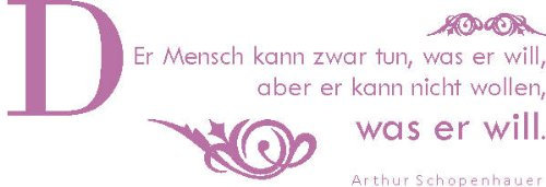 INDIGOS 4051719316001 Wandtattoo, Vinyl, flieder, 60 x 10 x 10 cm