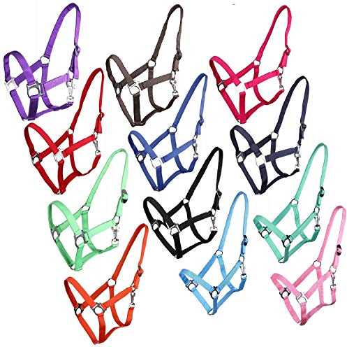 NETPROSHOP Halfter oder Führstrick Einfarbig für Ihre Lieblinge Mini Shetty bis XL Full, Groesse:Mini Shetty, Farbe:Dunkelblau