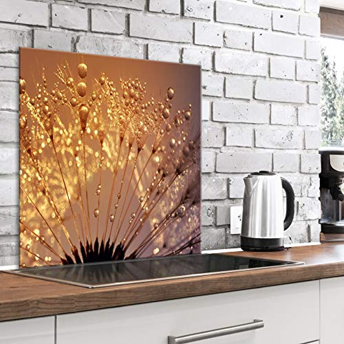 murando Crédence Cuisine en Verre Trempé - Plaque Anti-Projection 60x60 cm | 4 mm, Anti-Éclaboussures, Résiste à la Chaleur, Facile à Nettoyer, Déco Moderne, Gouttes d'Eau de Pissenlit Lumière du Soleil