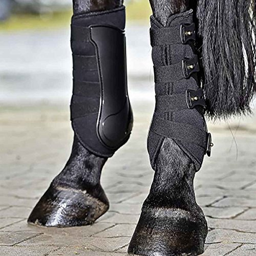 Busse Gamaschen Dressage-PRO