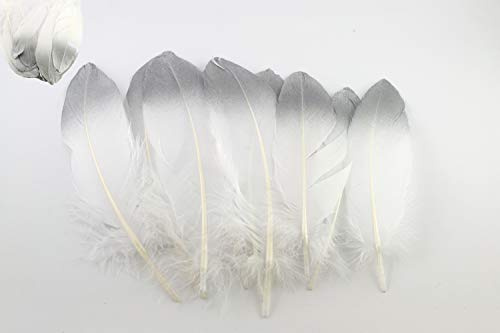 10 Gänsefedern 15-20cm (weiß/silber 029/012) // Echte Federn Bastelfedern Schmuckfedern Dekofedern Vogelfedern Dekofedern
