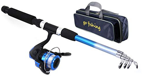 Danio Beginners KidsFishing Lightweight and Portable Extendable Rod Set - Fishing Equipment Learning Kit for Adults and Children Outdoor (Green)