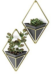 Umbra Trigg Jardinière Suspendue et Décoration Murale Géométrique pour Petite Plante. Plante Succulente et Bien Plus Encore. Noir/Laiton. Lot de 2