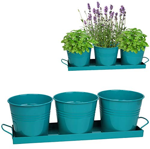 alles-meine.de GmbH Set: Metall - Tablett mit je 3 Töpfen - Blumentopf/Pflanzkübel/Pflanzschale - türkis blau/Mint - frostsicher - 48 cm - Untersetzer - MITTEL groß - mit H..