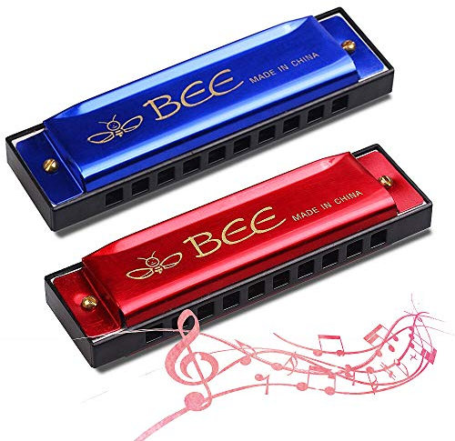 Mundharmonika,2 Stück Kinder Mundharmonika -10 Löcher mundharmonika Diatonisch - Mundharmonika C-Dur Major Blues Harmonika, für Anfänger/Profis mit Etui(Blau und Rot)