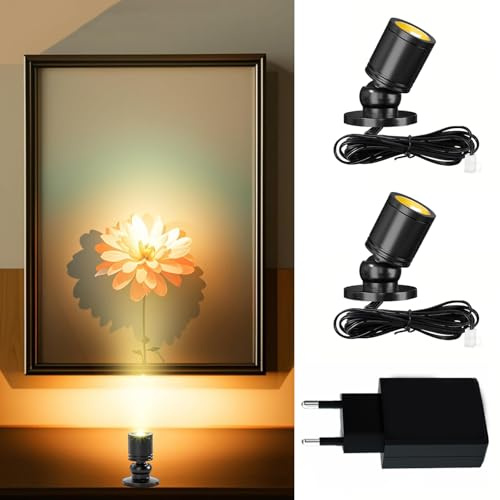 2 Stück,Klein LED Scheinwerfer, Mini led spot, 360°,Warmweiß,Schwarz,5V,1W | LED Spotlichter für den Innenbereich Schranklicht Bilderlichter Akzentlichter,Aluminium mini spot led für Schrank,Galerien