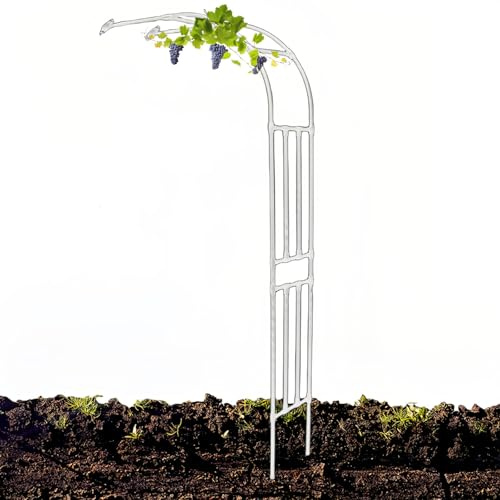 Robuster Gartenlaube aus Metall, 120–280 cm, für Hochzeiten, stabiler Rosenbogen, wetterfest, Wandmontage, Halbbögen, elegante Outdoor-Dekoration (weiß)