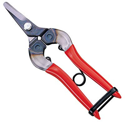 ARS 310, Obstschere, 1232-00, 16 cm