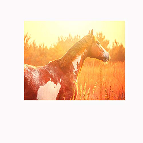 Fotomurales Caballo al atardecer200x140cm Decoración de Pared decorativos Murales moderna de Papel Pintado Sala Living Oficina Dormitorio