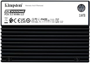 Kingston 3,84TB DC3000ME U.2 PCIe 5.0 NVMe TCG Opal SSD Enterprise Gen5-SEDC3000ME/3T8