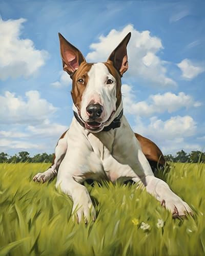 ZMHZMY Malen nach Zahlen Erwachsene,Bullterrier auf Gras DIY Handgemalt Ölgemälde Kits auf Leinwand Geschenk für Weihnachten Geburtstag Home Haus Deko - Ohne Rahmen
