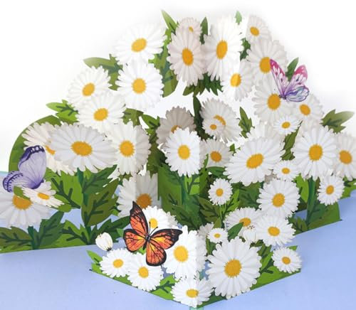 Geburtstagskarte 3D GlüCkwunschkarte Pop Up Blumen Karte Blumenkarte Geburtstagskarten Gänseblümchen Mit Umschlag GrußKarte für Frau Freundin Mutter