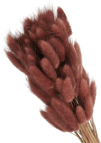 PATIKIL 120pz Coda di Coniglio Fiori Secchi 15.7in Coda di Coniglio Marrone