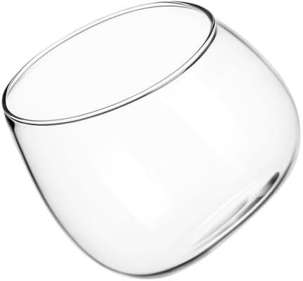 ROMISBABA Angled Glass Bubble Bowl Planter Modern Slanted Fish Bowl Vase for Succulent Plants Air Plants Water Lotus Tabletop Decor and Home Office Display