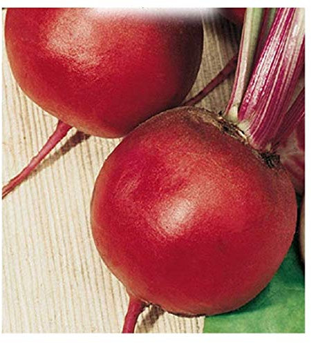 350 Aprox. - Graines de Betterave Jardin de Graines Chioggia - Beta Vulgaris En Paquet Original Fabriqué en Italie - Betterave