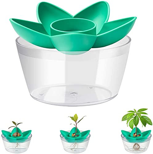HENMI Avocado Samen Keimen Schüssel Set,Geburtstagsgeschenk für Garten Samen Starter Avocadobaum Wachstum KitAlligator Pflanzschale Indoor Anbau Blumentopf mit Unterseite Platte（Keine Samen