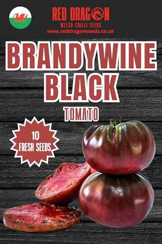 Brandywine Black Tomato Seeds - 10 Fresh Brandywine Black Tomato Seeds