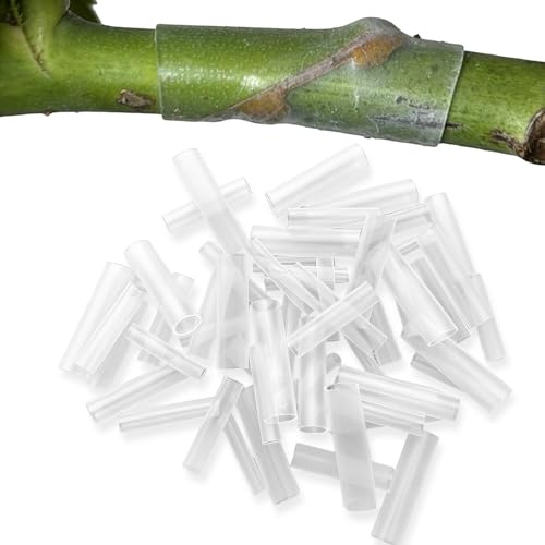 50 Manicotti per innesto in Silicone per Alberi da frutto, Tubi da innesto ad Alta Elasticità a Parete Sottile, rapido delle Piante, Strumenti da Giardinaggio, per Alberi da frutto, Viti, Rose