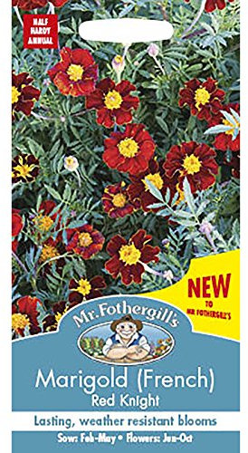 Mr Fothergill's 27322 Flower Seeds, Marigold (French) Red Knight, 0.3x7.5x14.5 cm
