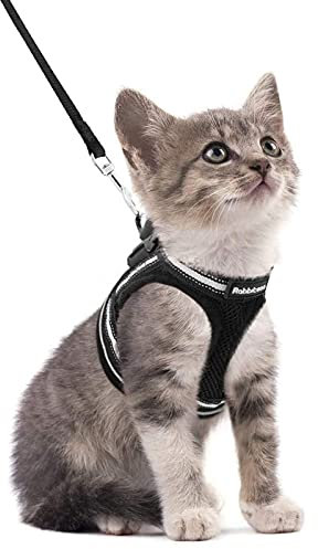 rabbitgoo Katzengeschirr mit Leine Ausbruchsicher, Katzenleine mit Geschirr, Katzengeschirr Kitten Verstellbar Weich Kätzchenweste mit Reflektierenden Streifen für Extra Kleine Katzen, Schwarz S