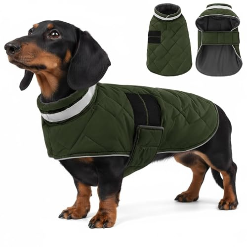 ASENKU Hundrock för små hundar XS, hundrock vinter vattentät, fleece reflekterande hundjacka varm med justerbar, vinterrock hund med sele hål rutig för chihuahuaa, tax